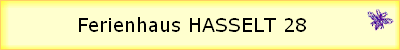Ferienhaus HASSELT 28
