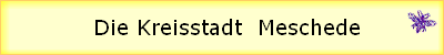 Die Kreisstadt  Meschede