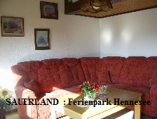 Sauerland Ferienhaus   FERIENPARK FERIENDORF  am Hennesee :  